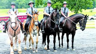 hermes police horse|police horses for sale.